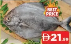 Pomfret Black (Avolli)