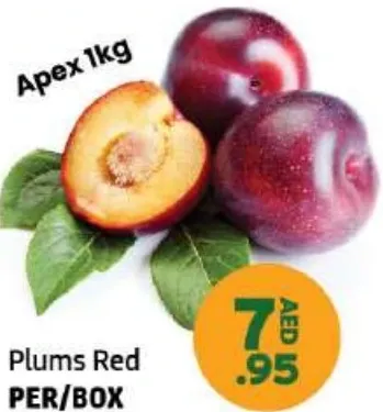 Apex البرقوق الأحمر