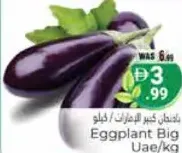 باذنجان كبير