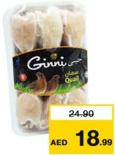 Ginni سمان مجمد جرمانيا