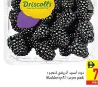Driscoll's Blackberry Africa