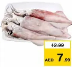 حبار جامبو