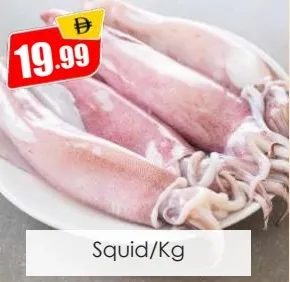 Squid