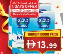 Nadec حليب كامل الدسم