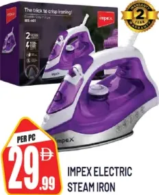 Impex Electric Steam Iron