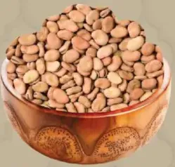 فاصوليا باقلاء