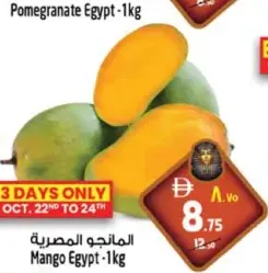 Mango Egypt