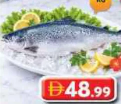 Norway Salmon Whole