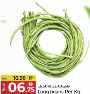 فاصوليا طويلة