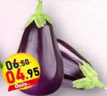 Eggplant Big