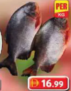 Fresh Pomfret Red