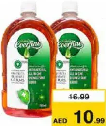 Everfine فلو سائل مطهر