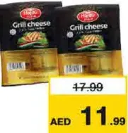 Hajdu Grill Cheese