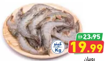 Shrimp