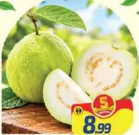 Guava Egypt