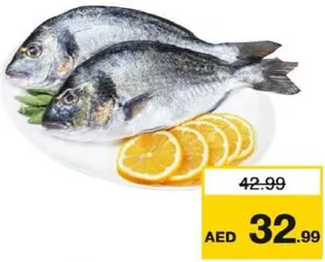 سمك سيبريم (محلي