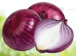 بصل أحمر