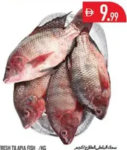 Fresh Tilapia Fish
