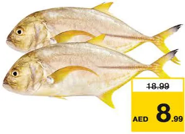 Yellow Para