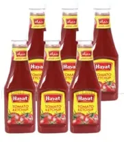 Hayat Tomato Ketchup