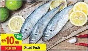 Scad Fish