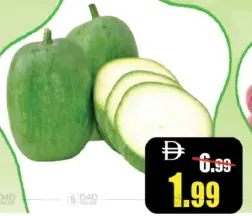 Ash Gourd