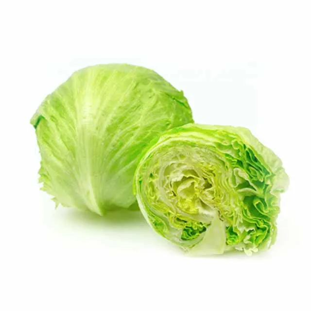 Kibsons Iceberg Lettuce