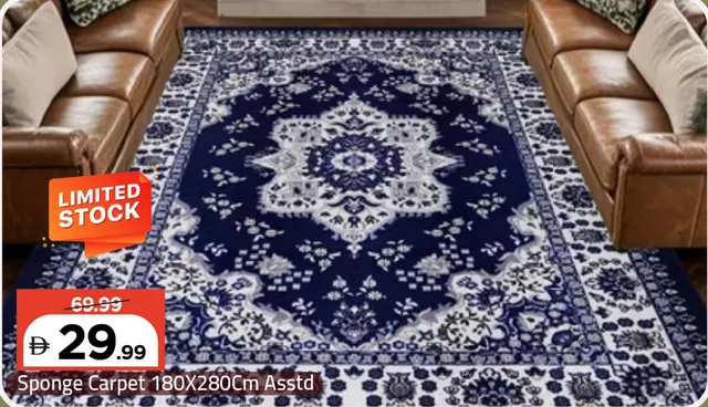 Sponge Carpet Assorted