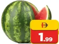 بطيخ
