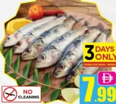 Sardine (Mathi) Fish Small