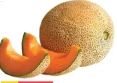Shamam Melon
