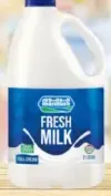 Marmum Fresh Milk -F/Cream