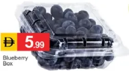 Blueberry Box