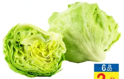 الخس