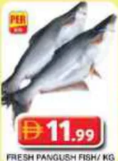 Fresh Pangush Fish
