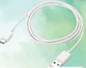 Rci Type C Cable