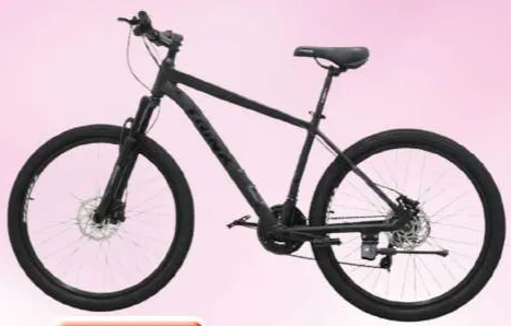 Bicycle RYC-5859