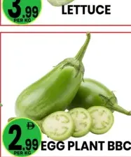 Egg Plant Bbc