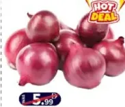 Onion India