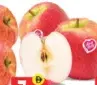 Apple Pink Lady per kg