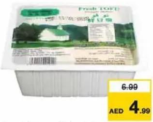 Green Village Fresh Tofu