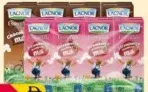 Lacnor شوكولاتة بالحليب/فراولة