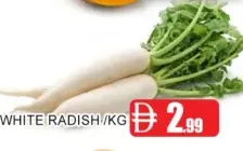 Radish White