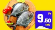 سمك بومفريت أسود