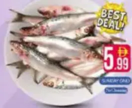 Sardines