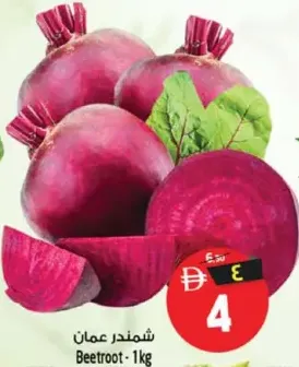 شمندر