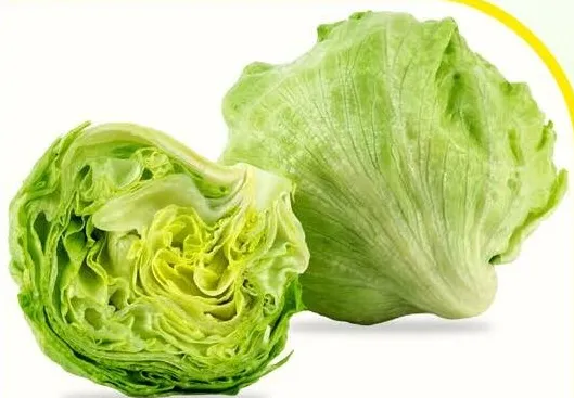 Iceberg Lettuce