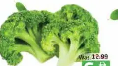 Broccoli