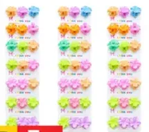 Ladies hair clip