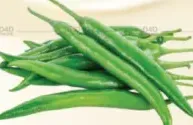 Green Chilli